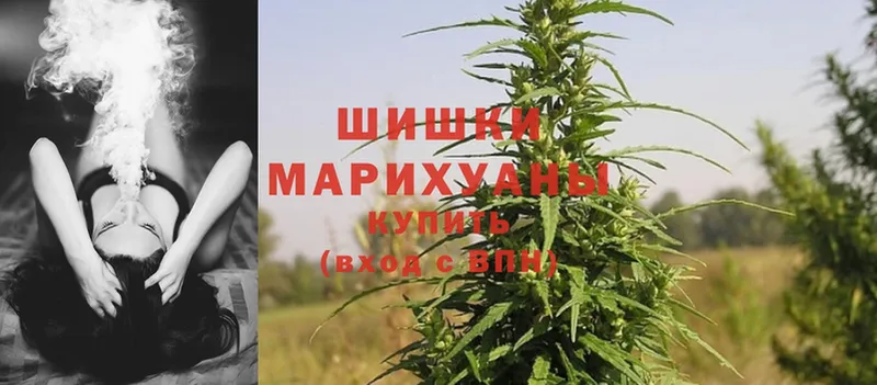 Бошки Шишки White Widow  Нарьян-Мар 